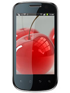 Best available price of Celkon A19 in Tunisia