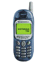 Best available price of Motorola T190 in Tunisia