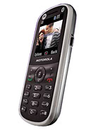 Best available price of Motorola WX288 in Tunisia
