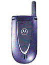 Best available price of Motorola V66i in Tunisia